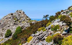 Monte-Capanne-J15-0869