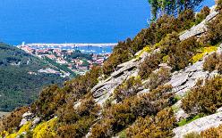 Monte-Capanne-J15-0873