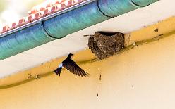 Westkueste-Elba-J15-1119