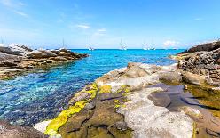 Westkueste-Elba-J15-1163