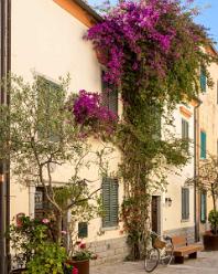 Marina-di-Campo-J15-3385