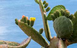 Elba-Portoferraio-J15-0656