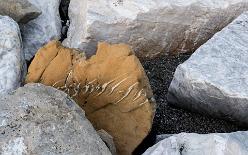 Sestri-Levante-J17-3711