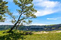 Creux du Van-NE-J10-1391