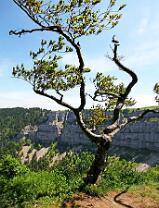 Creux du Van-NE-J10-1458