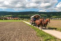 Le Landeron-NE-J08-510