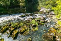 Saut de Doubs-NE-J08-786