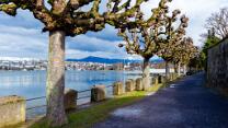 Rapperswil-J14-2352