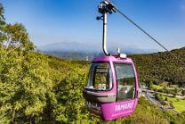 Alpe Foppa-Tamaro-J13-6924